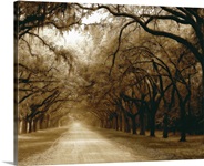 Savannah Oaks I