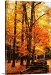 Split Rail Fence I