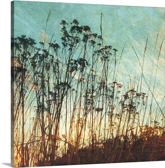 Wild Grass I