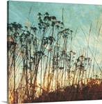 Wild Grass I
