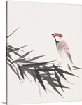 A sparrow and bamboo leaves
