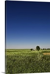 Abandoned house sits in a field in the desolate grassy plains of southwest Oklahoma.