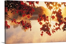 Autumn Leaves, New England, USA