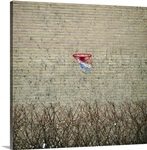 Basket for basketball, attached to brick wall of house, with a hedge in front.