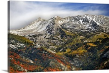 Beautiful red oak and golden aspens dot landscape below granite peaks, Lehi, Utah.