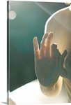 Buddha figure's hand is illuminated from behind.
