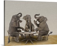 Elephants having tea party