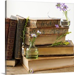 Flowers on old books