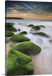 Green mossy rocks at Curl Curl Beach Northern Beaches, Sydney NSW Australia.