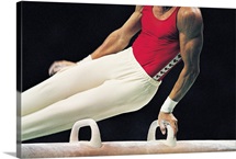 Gymnast on the Pommel Horse