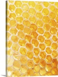 Honeycomb Closeup