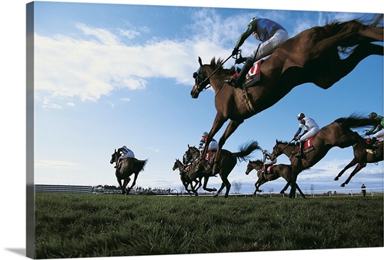 Horse Race