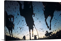 Horse Racing