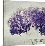 Hydrangea in vase, Germany.