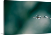 Last ice drop.