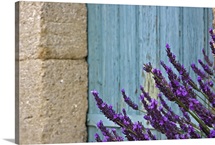 Lavender flower against door.