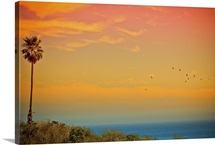 Light of sun setting on  Malibu beach and birds flying.