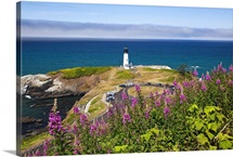 Lighthouse by the sea, Oregon, USA