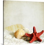 Little treasures from sea.