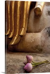 Long slender fingers of the Buddha with lily bud Sukhothai, Thailand.