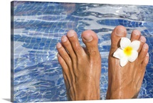 Mans feet in blue swimming pool with tropical frangipani flower.