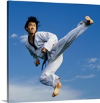 Martial Artist Midair