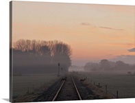 Misty morning sunrise by single railway track with three deer crossing track