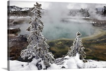 Montana's Yellowstone National Park in Montana.