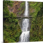 Multnomah Waterfall at Oregon. Columbia River Gorge with green lush and footbridge.