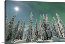 Northern lights and full moon, Nordoesterbotten, Suomi, Finland