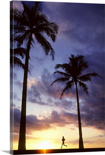 Palm trees at sunset, Woman jogs past, captured while she is in midair.