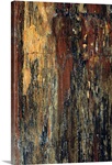 Petrified wood