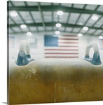 Pommel Horse in Gymnasium