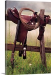 Saddle and lasso on fence