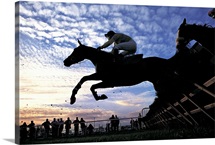Silhouette of Horses Jumping a Steeplchase