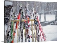 Ski Boards