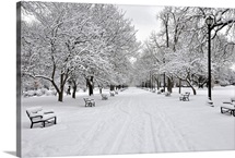 Snow covered benches and trees in Washington Park Albany, New York.