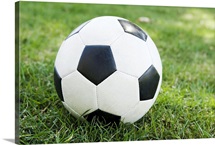 Soccer ball on grass