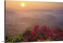 Sun burst, cherry blossoms and mountain layers, Taichung.