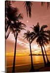 Sunset beach
