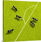 The cows playing soccer