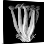 This group of edible mushrooms, native to East Asia.