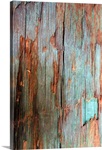 Tree bark texture