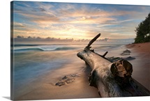 Tree log on beach at sunrise in Kauai.