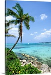Tropical beach with palm trees and clear blue water, Bahamas