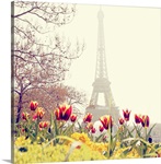 Tulips flowers with Eiffel Tower background, Paris, France