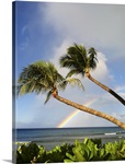 Two palm trees on beach and rainbow over sea in background at Hawaii.