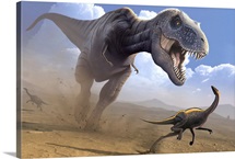 Tyrannosaurus rex dinosaur hunting an Ornithomimus dinosaur.