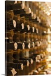 United Kingdom, Bristol, old wine bottles on cellar shelves
