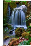 Waterfall in Tropical Rainforest of Fairchild Tropical Gardens.